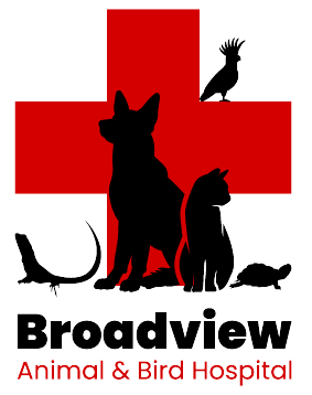 Broadview Animal and Bird Hospital Logo
