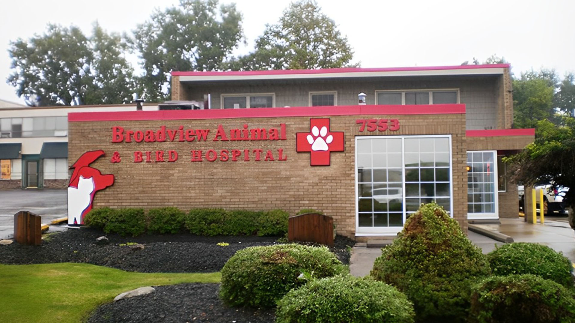 About Broadview Animal And Bird Hospital Seven Hills OH