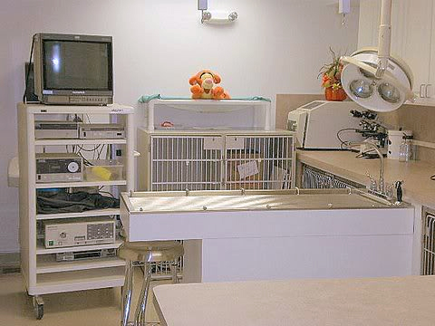 New Surgical-Treatment Ward