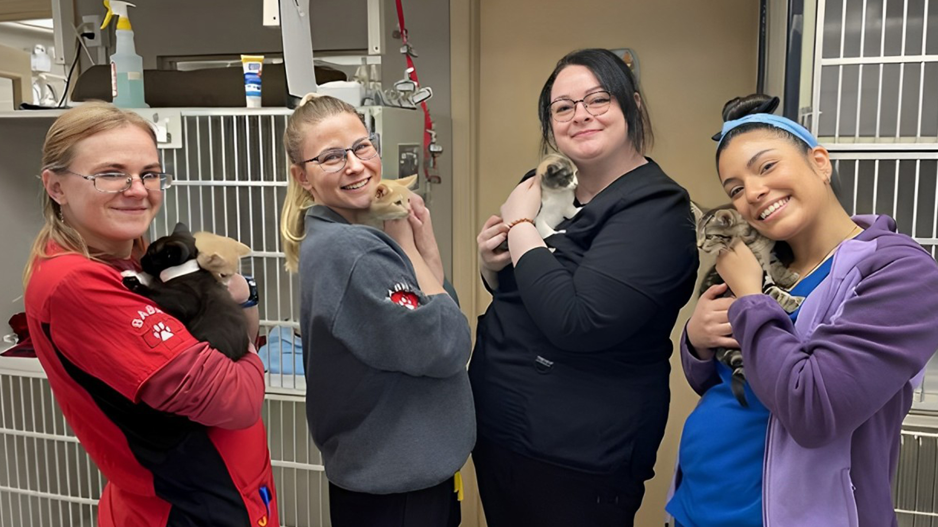 Veterinarian In Seven Hills, OH Broadview Animal And Bird